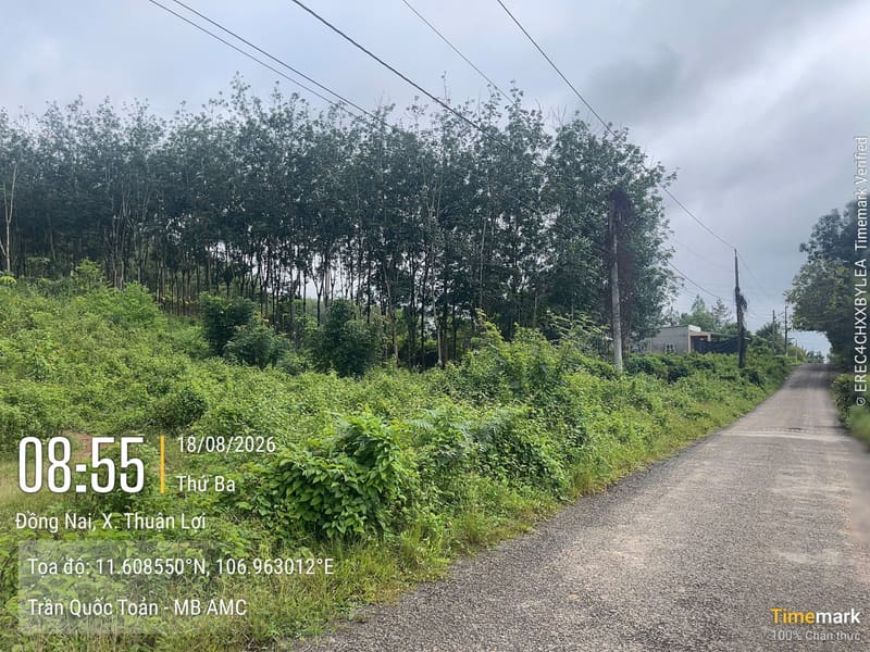 TS803_Bán đất tại Huyện Đồng Phú, Bình Phước