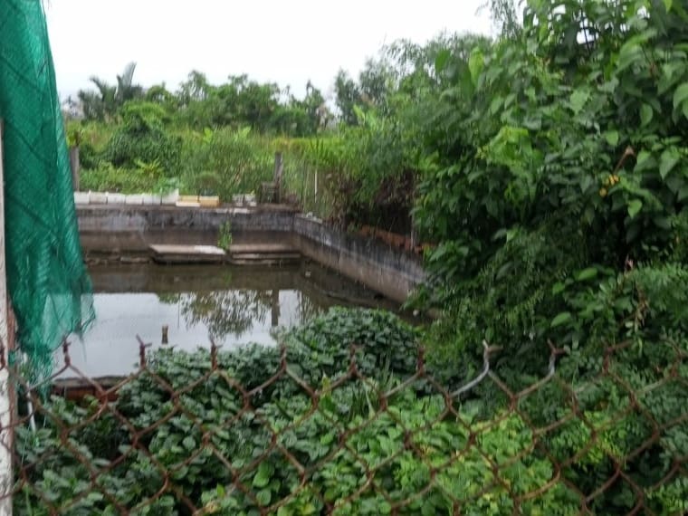 TS251_Bán đất tại Huyện Đầm Dơi, Cà Mau