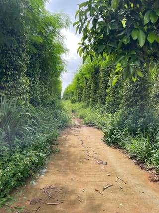 Xem ảnh 1