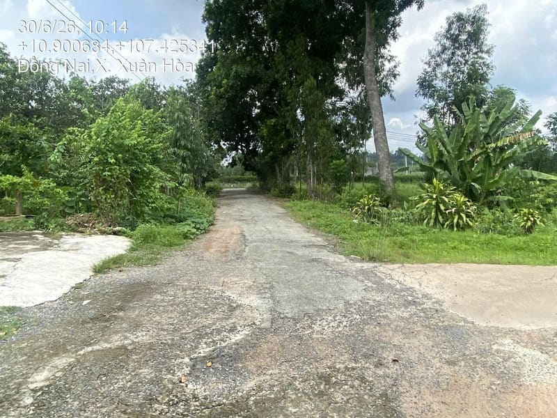 TS891_Bán đất tại Huyện Xuân Lộc, Đồng Nai — ảnh 5 trên 6