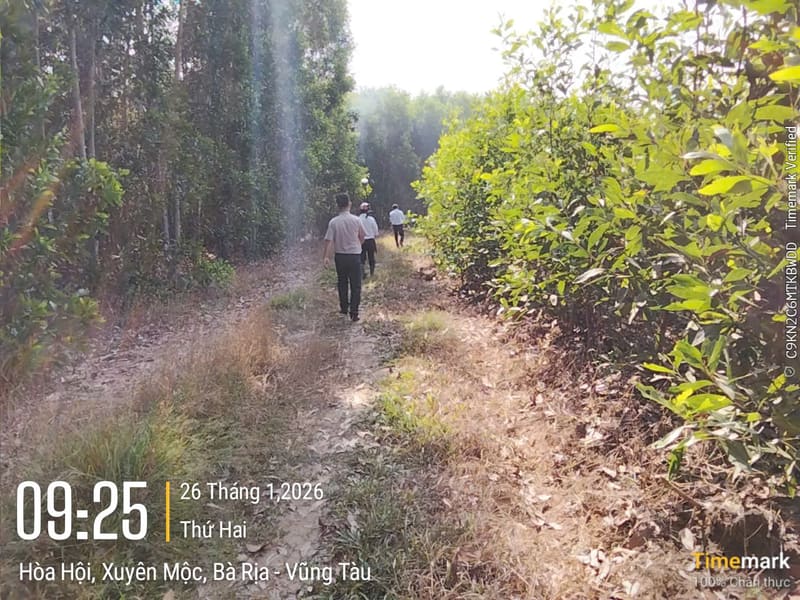 TS708_Bán đất tại Huyện Xuyên Mộc, Bà Rịa Vũng Tàu — ảnh 2 trên 4