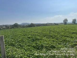 Xem ảnh 1