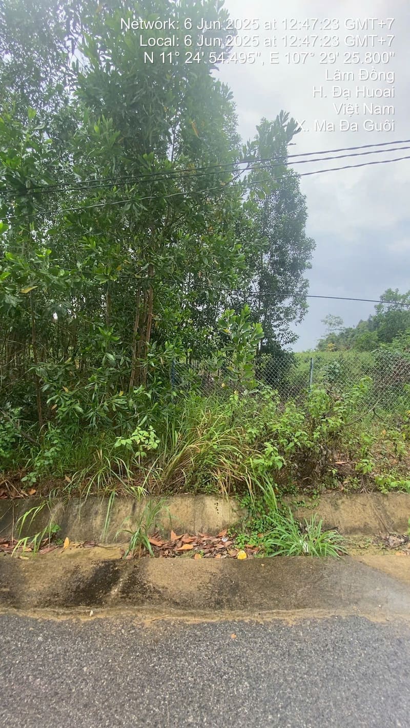 TS594_Bán đất tại Huyện Đạ Huoai, Lâm Đồng — ảnh 4 trên 5