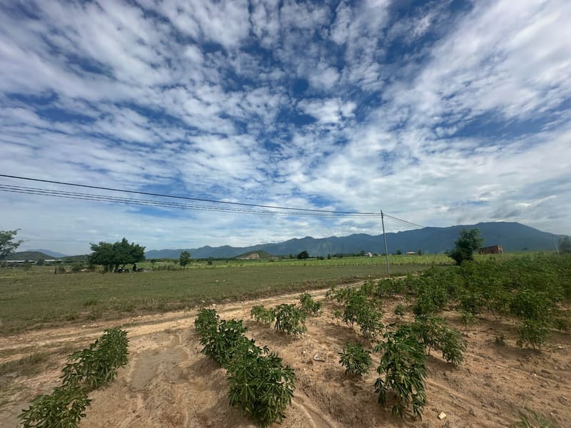 TS901_Bán đất tại Ninh Xuân, Ninh Hòa, Khánh Hòa — ảnh 2 trên 5