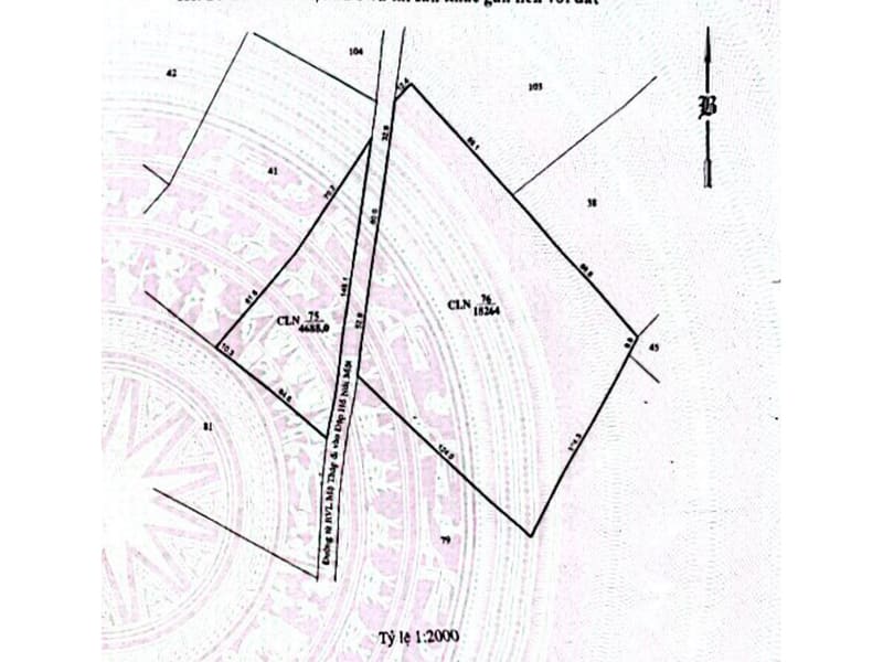 TS922_Bán đất và khu ao tại xã Phước Dinh, huyện Thuận Nam, Ninh Thuận — ảnh 6 trên 10