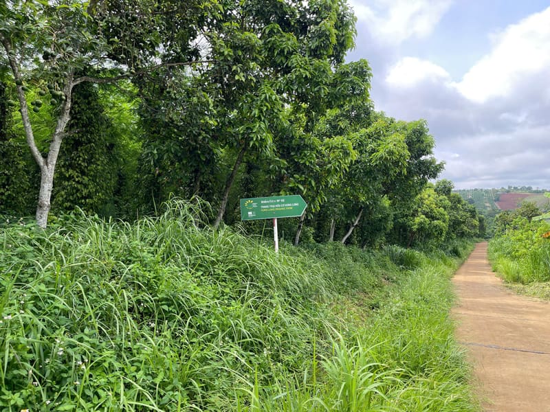 TS818_Bán đất tại Huyện Đăk Glong, Đắk Nông — ảnh 3 trên 3