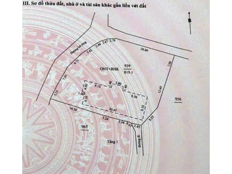 TS939_Bán nhà đất tại xã Nghĩa Dõng, thành phố Quảng Ngãi, Quảng Ngãi — ảnh 5 trên 5