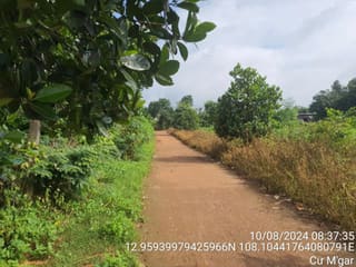 Xem ảnh 4
