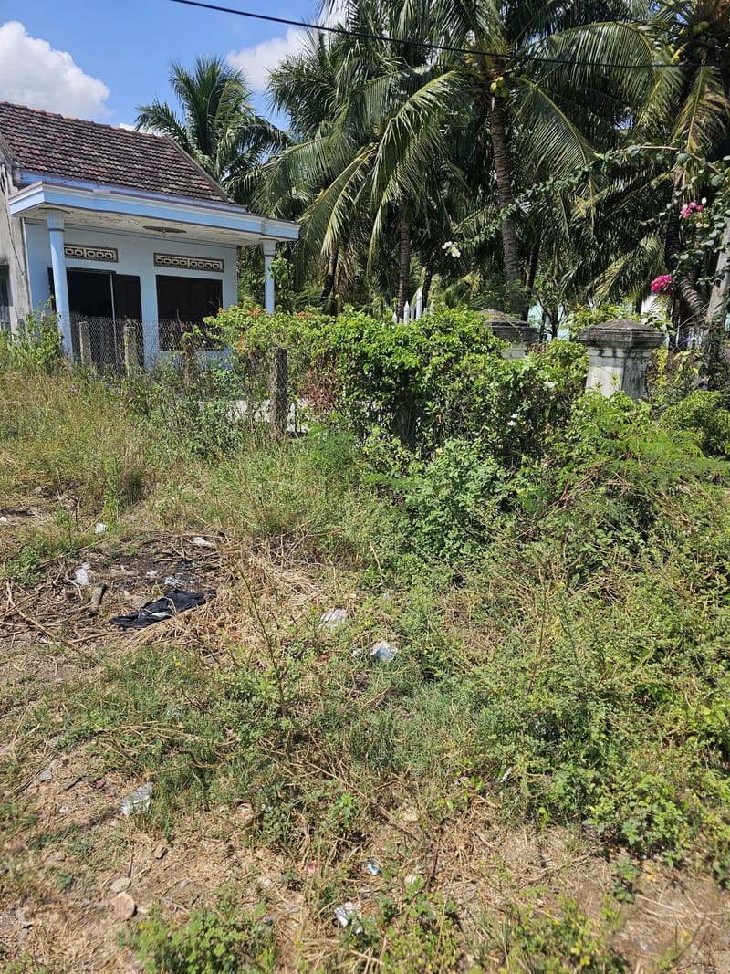 TS912_Bán đất tại Ninh Thọ, Ninh Hòa, Khánh Hòa — ảnh 3 trên 4