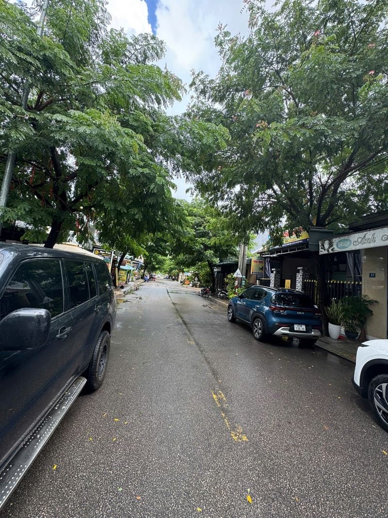 TS960_Bán nhà đất tại Nguyễn Thuật, Hà Lam, Thăng Bình, Quảng Nam — ảnh 3 trên 5