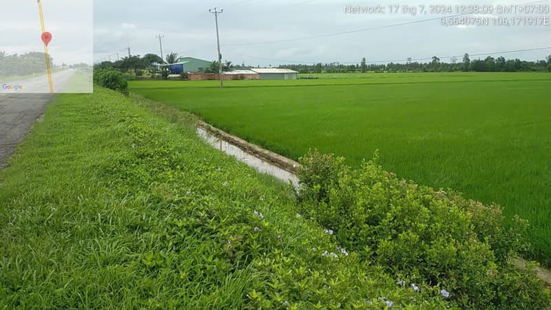 TS431_Bán đất tại Huyện Trần Đề, Sóc Trăng — ảnh 2 trên 4