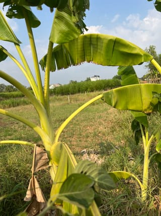 Xem ảnh 2