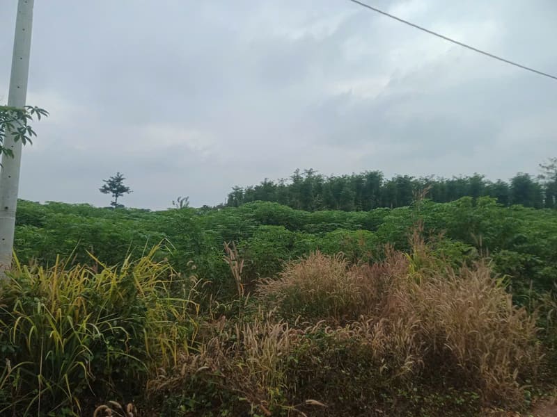 TS705_Bán đất tại Huyện Xuyên Mộc, Bà Rịa Vũng Tàu — ảnh 2 trên 5