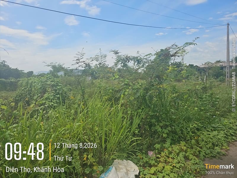 TS945_Bán đất tại Diên Phước, Diên Khánh, Khánh Hòa — ảnh 3 trên 4