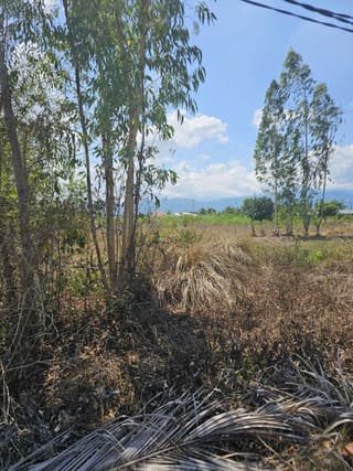Xem ảnh 4