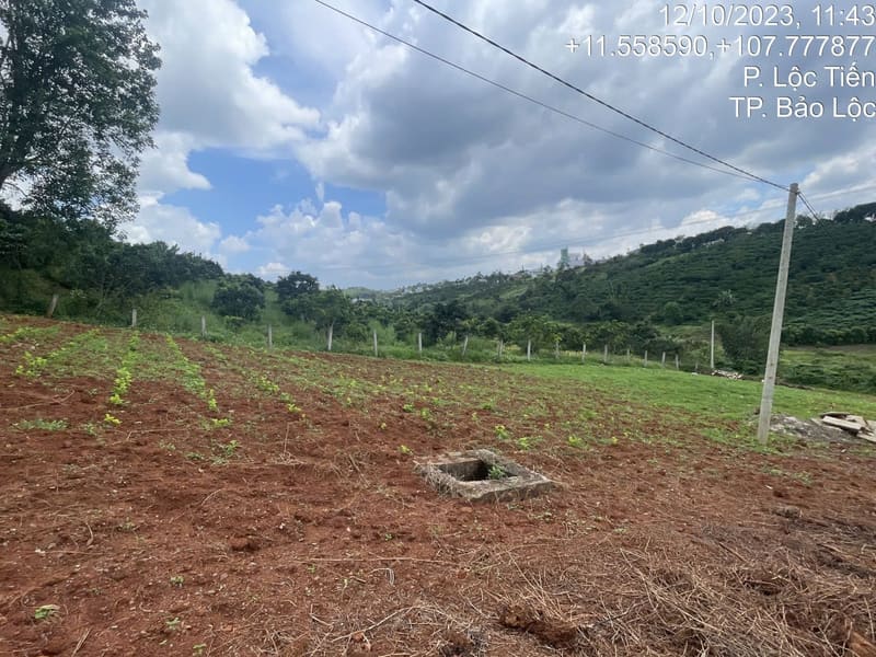 TS409_Bán đất tại Thành phố Bảo Lộc, Lâm Đồng — ảnh 4 trên 5