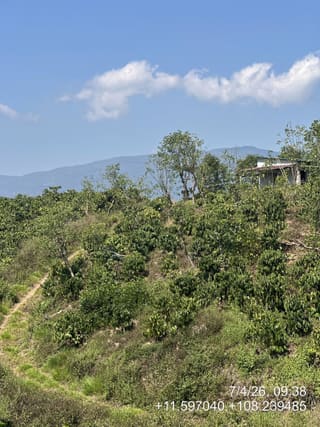 Xem ảnh 3