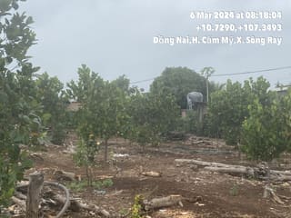 Xem ảnh 1