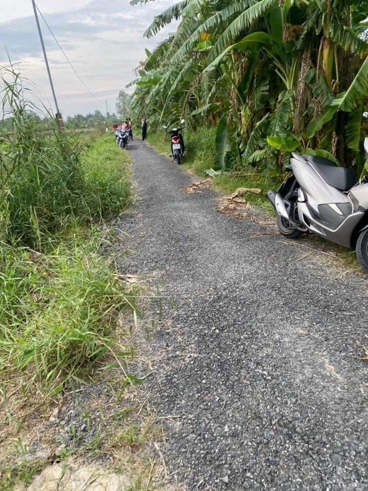 TS250_Bán đất tại Huyện Long Hồ, Vĩnh Long — ảnh 3 trên 4