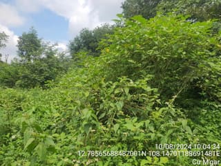 Xem ảnh 2