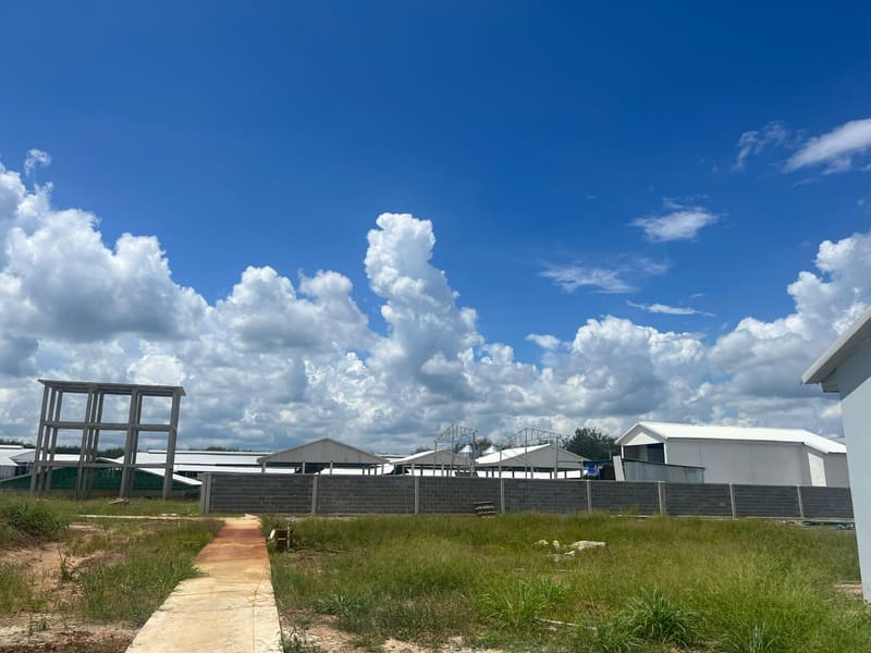TS259_Bán đất tại Huyện Tân Biên, Tây Ninh — ảnh 2 trên 6