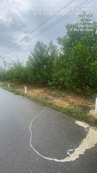 Xem ảnh 3