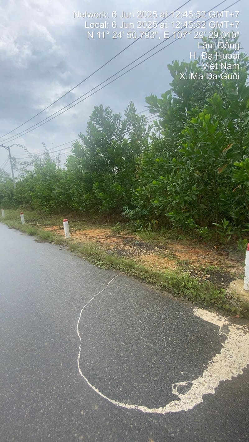 TS594_Bán đất tại Huyện Đạ Huoai, Lâm Đồng — ảnh 3 trên 5