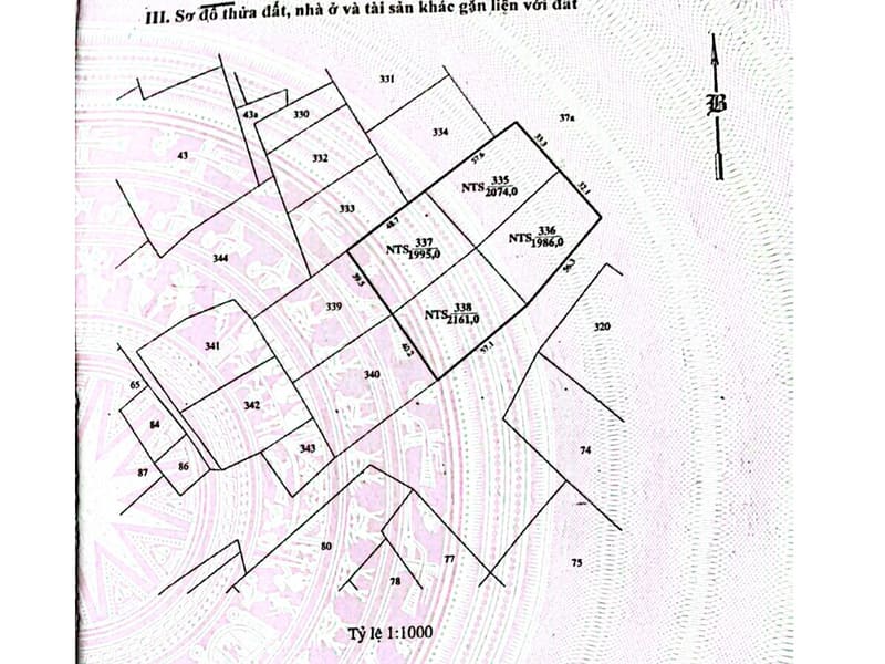 TS922_Bán đất và khu ao tại xã Phước Dinh, huyện Thuận Nam, Ninh Thuận — ảnh 10 trên 10