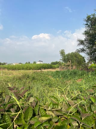 Xem ảnh 1
