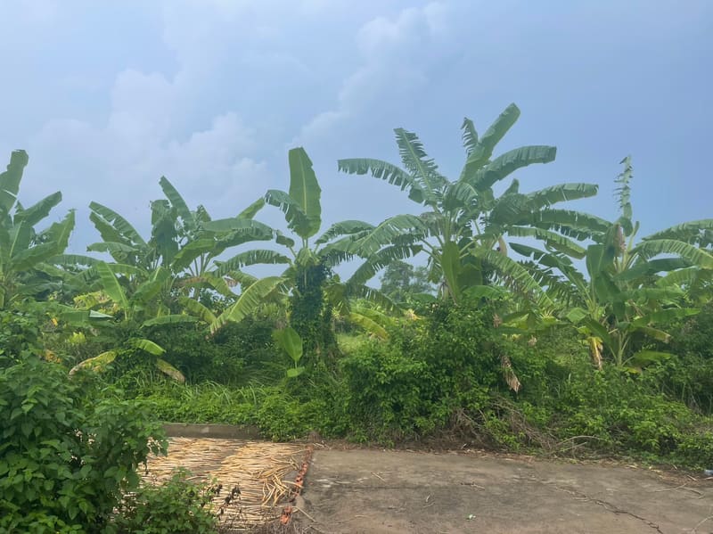 TS191_Bán đất tại Thành phố Gò Công, Tiền Giang — ảnh 2 trên 5