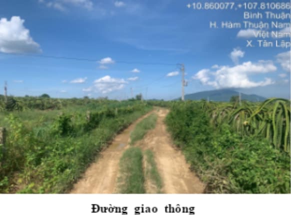 TS711_Bán đất tại Huyện Hàm Thuận Nam, Bình Thuận — ảnh 3 trên 4
