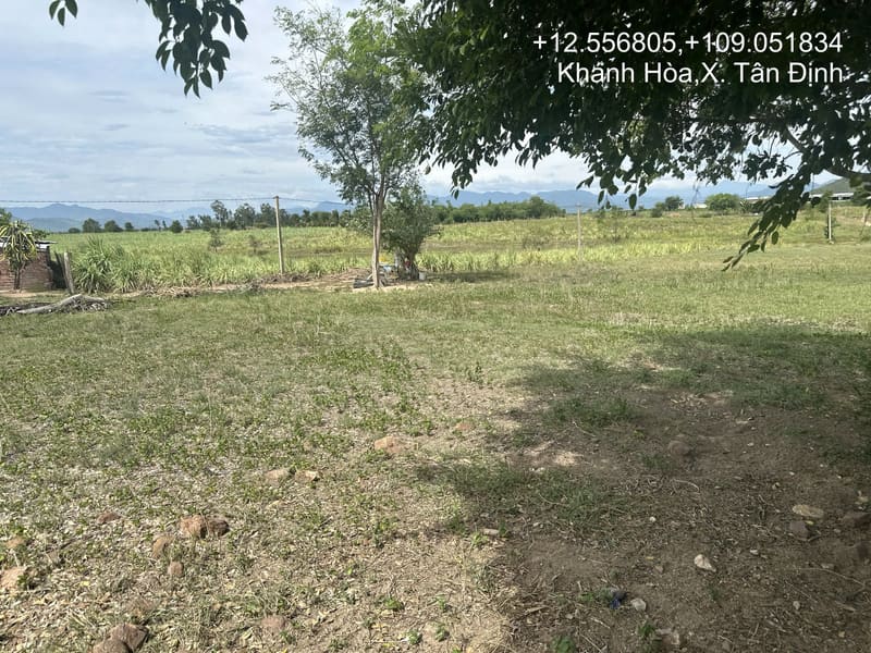 TS901_Bán đất tại Ninh Xuân, Ninh Hòa, Khánh Hòa — ảnh 3 trên 5