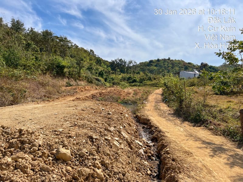 TS948_Bán ba thửa đất trồng cây lâu năm tại Hòa Hiệp, Cư Kuin, Đắk Lắk — ảnh 1 trên 6