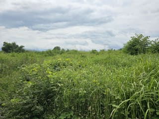Xem ảnh 3