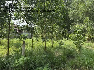 Xem ảnh 3