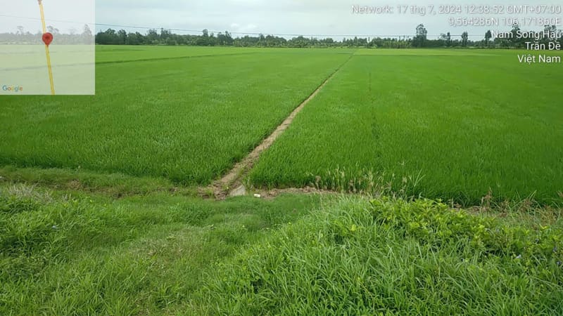 TS431_Bán đất tại Huyện Trần Đề, Sóc Trăng — ảnh 1 trên 4