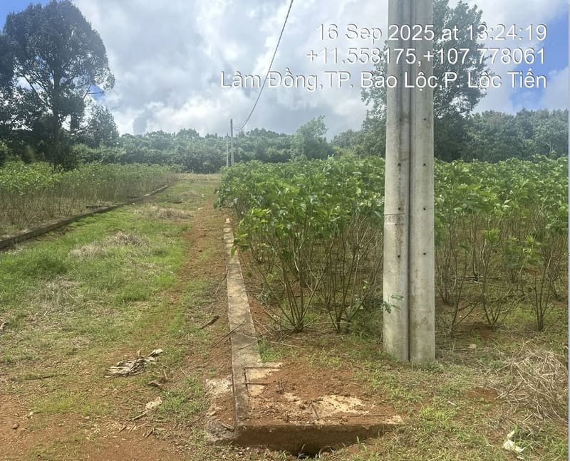 TS409_Bán đất tại Thành phố Bảo Lộc, Lâm Đồng — ảnh 2 trên 5