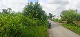 Xem ảnh 2