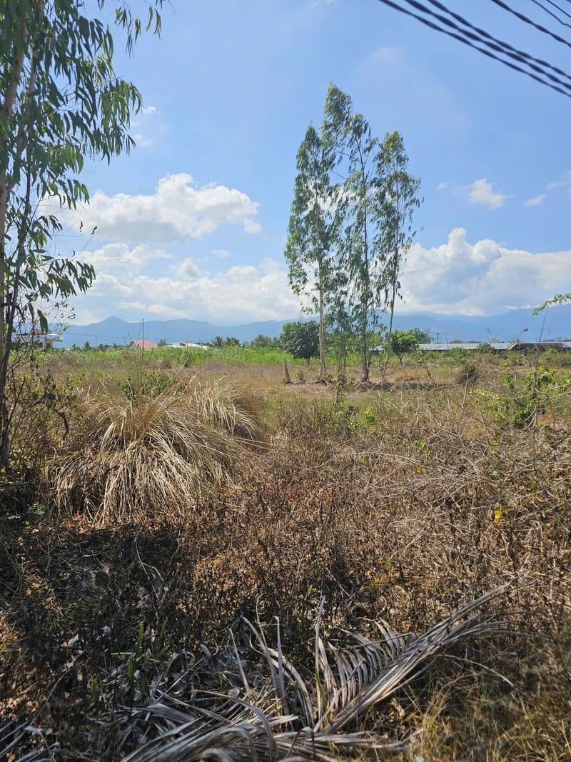 TS915_Bán đất tại Ninh Sim, Ninh Hòa, Khánh Hòa — ảnh 3 trên 5