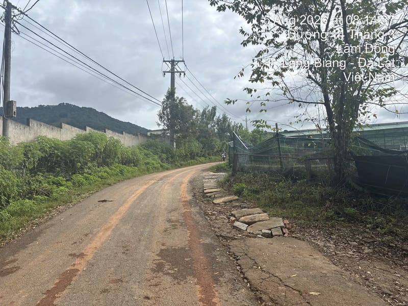 TS882_Bán đất tại Huyện Lạc Dương, Lâm Đồng — ảnh 2 trên 5