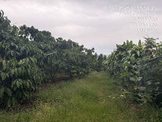 Xem ảnh 2