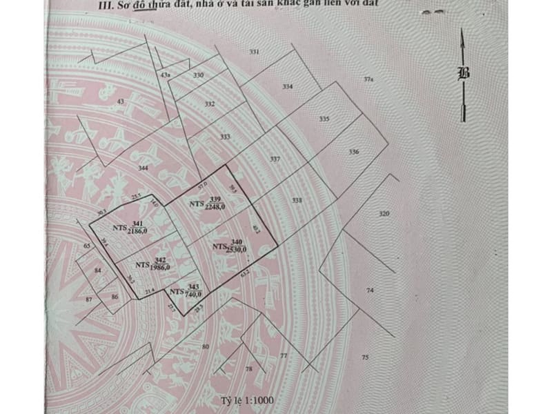 TS922_Bán đất và khu ao tại xã Phước Dinh, huyện Thuận Nam, Ninh Thuận — ảnh 9 trên 10