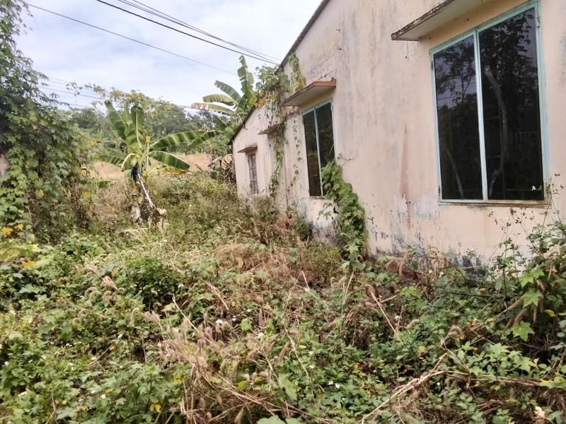 TS707_Bán đất tại Huyện Châu Đức, Bà Rịa Vũng Tàu — ảnh 3 trên 4