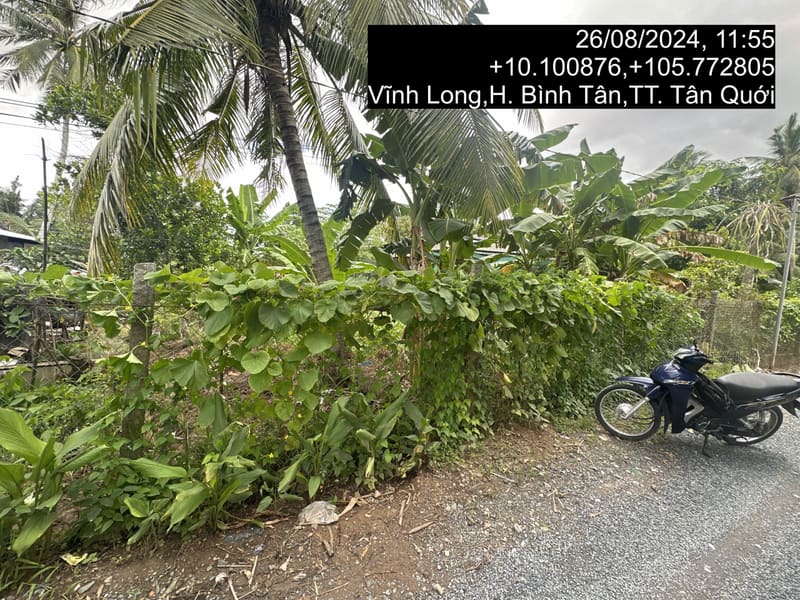 TS429_Bán đất tại Huyện Bình Tân, Vĩnh Long — ảnh 2 trên 4