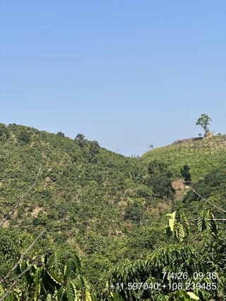 Xem ảnh 2