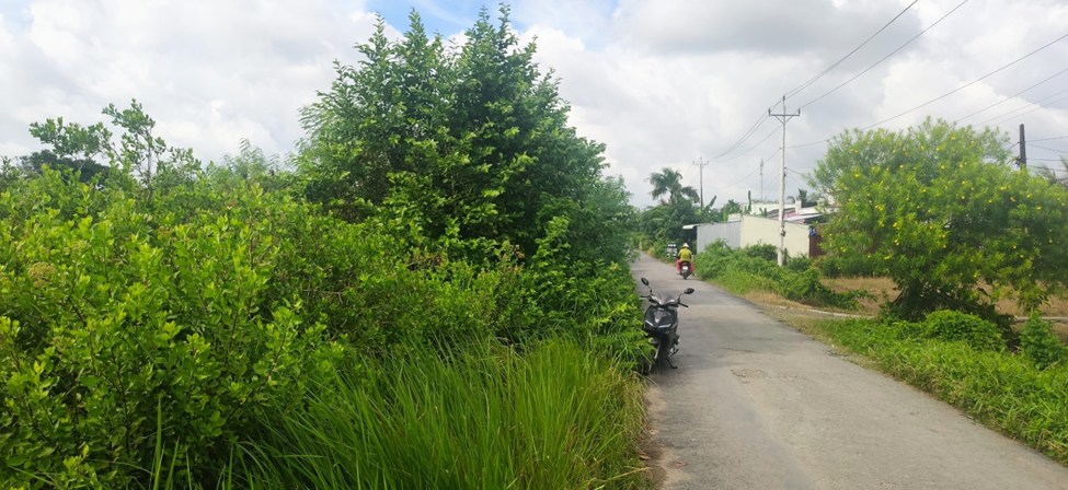 Bán tài sản tại Khóm Biển Dưới, phường Vĩnh Phước, TX Vĩnh Châu, tỉnh Sóc Trăng