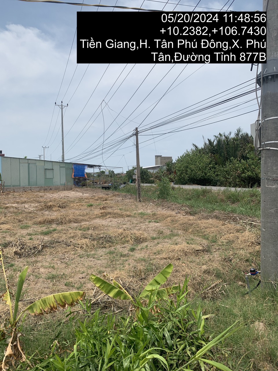 Bán tài sản tại Ấp Pháo Đài, xã Phú Tân, huyện Tân Phú Đông, tỉnh Tiền Giang