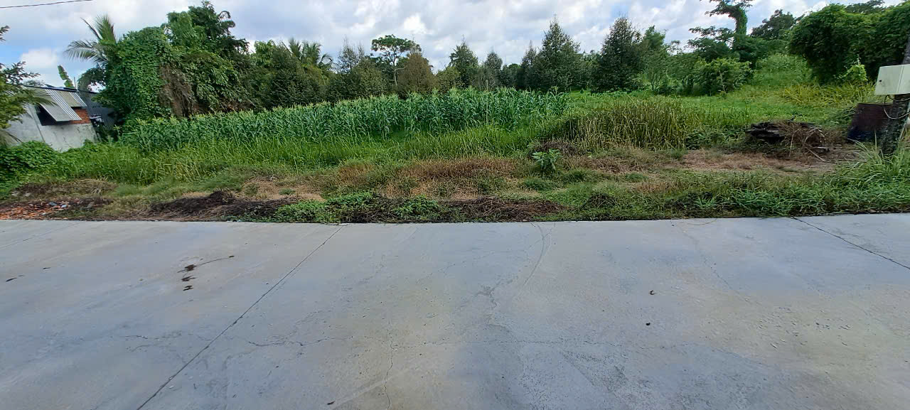 Bán đất tại Phường Tân Hợi, TP. Vĩnh Long