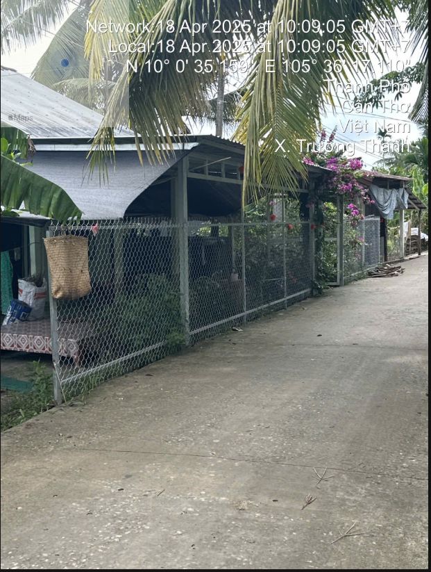 Bán tài sản tại ấp Trường Tây, xã Trường Thành, huyện Cờ Đỏ, TP Cần Thơ